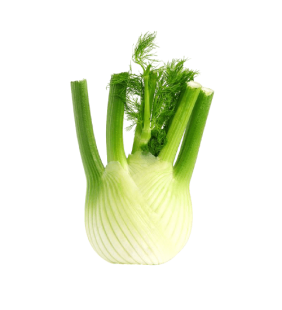 Fenouil (300g)