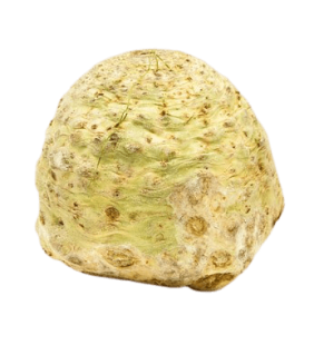 Céleri Rave (800g à 1,5kg)