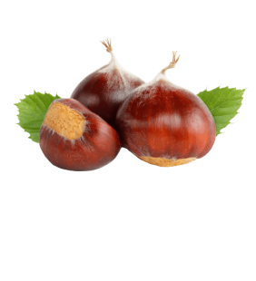 Châtaignes 500g