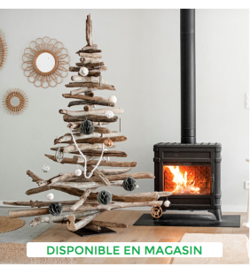 Sapin Méditerranéen